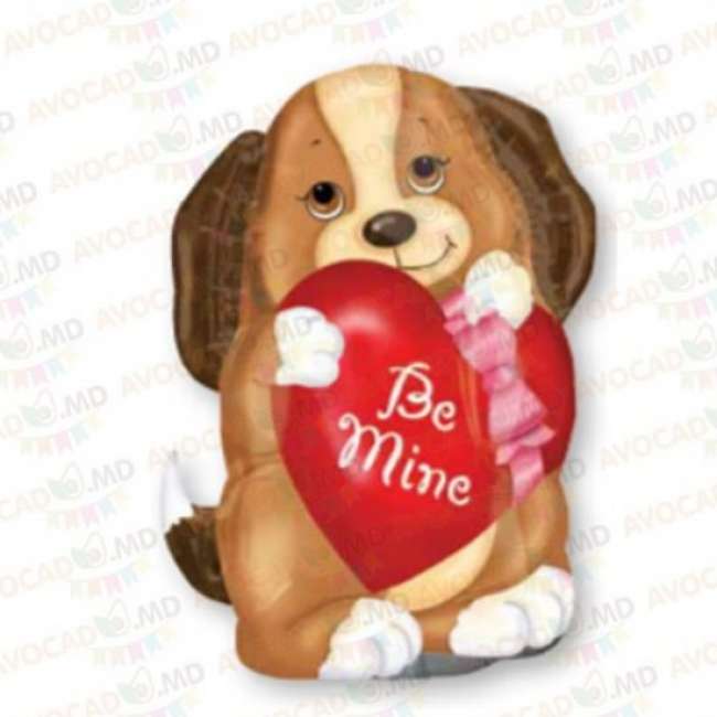 baloane cu heliu câine be mine 60x43cm